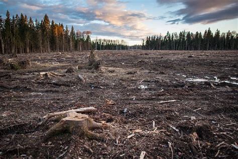 Высокая испаряемость и отсутствие пресноводных ресурсов