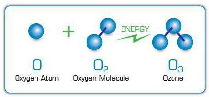 Высокая популярность Озона