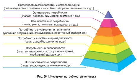 Высокие уровни глюкозы и постоянная потребность в пище