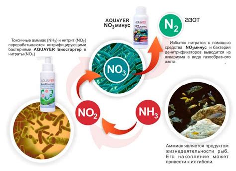 Высокий уровень нитратов в воде