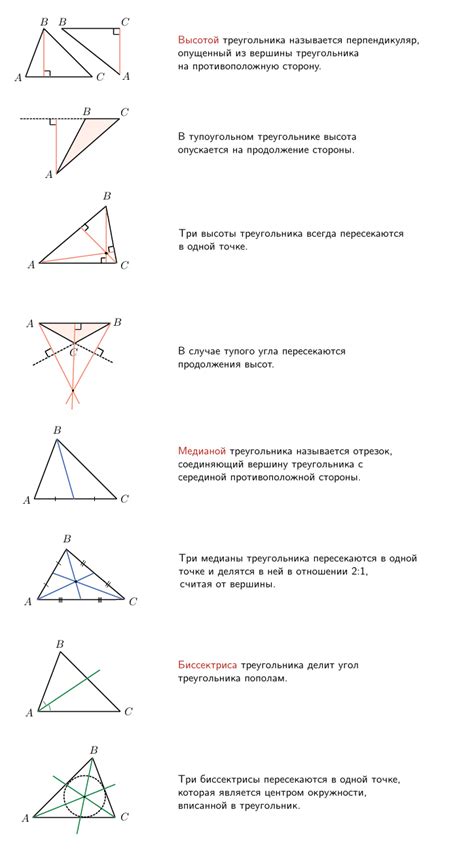 Высота и биссектриса как основные пути определения основания