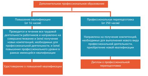 Высшее образование и дополнительное обучение