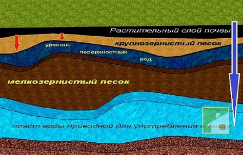 Выявление и оценка уровня грунтовых вод на участке