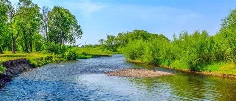 В Пензенской области