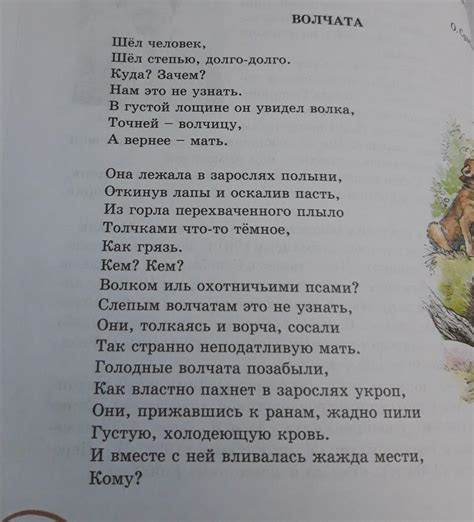 В стихотворении