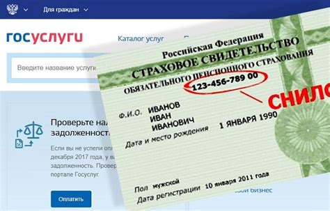 В чем причина отсутствия СНИЛС в госуслугах?