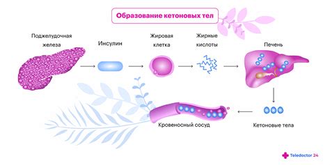 В чем причины аромата ацетона в моче детей?