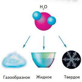 В чем состоит уникальность рисовой воды?