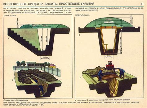 Гадюки на деревьях: укрытия и способы защиты