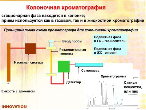 Газовая хроматография для изучения омега-6 кислот