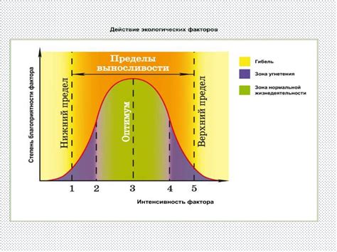 Газообразование вечером: основные факторы