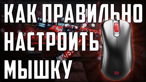 Гайд по настройке мышки Bloody для CS GO