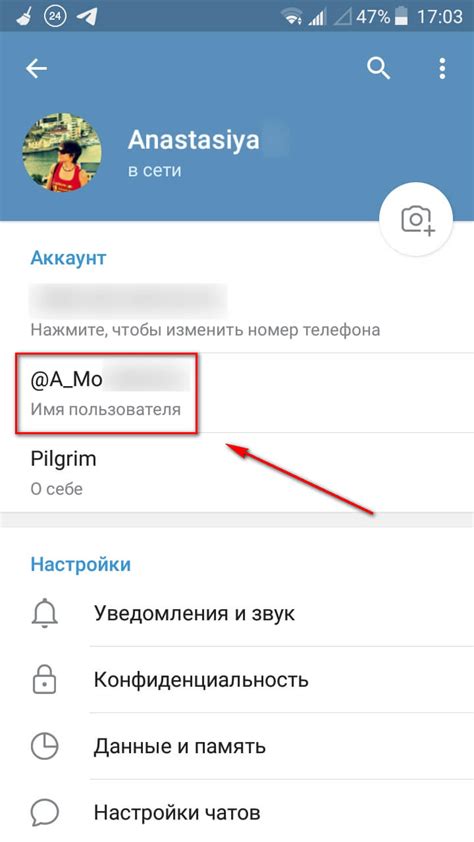 Где найти настройки языка в Телеграмм на iPhone