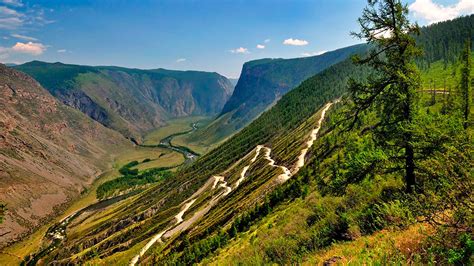 Где находится Прииссыккульский заповедник?