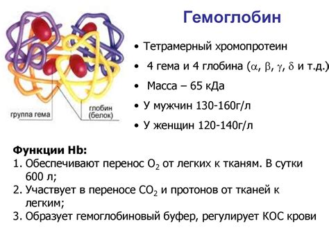 Гемоглобин: значение и функции