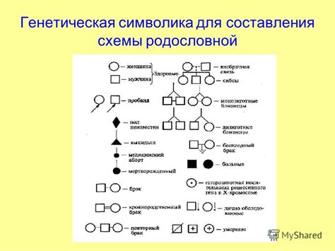 Генеалогические исследования для выявления родства