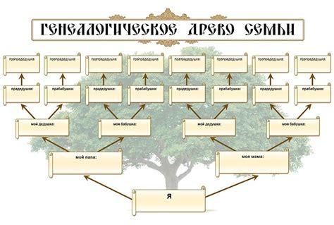 Генеалогическое дерево для 2 класса: основные принципы