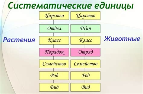 Генетика в систематике организмов