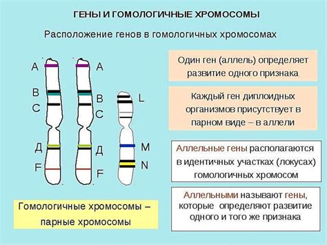 Генетика и наследственность: