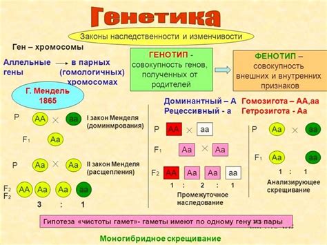 Генетика и пол ребенка