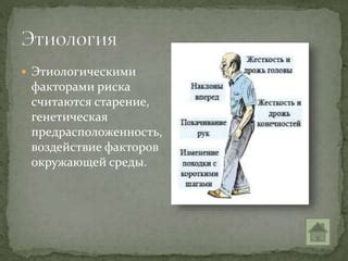 Генетическая предрасположенность и старение