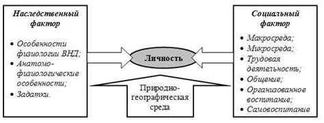 Генетические, физиологические и социальные факторы, влияющие на появление зла