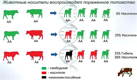 Генетические аномалии и их роль в развитии рака