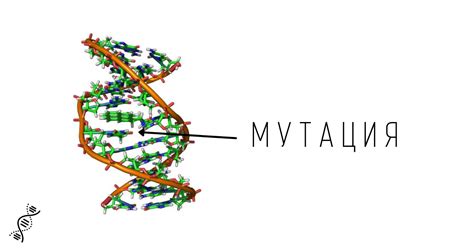 Генетические изменения и мутации