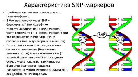 Генетические маркеры и их роль