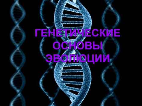 Генетические основы рыжеволосости