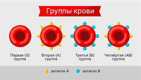 Генетические особенности группы крови А2 и их значимость