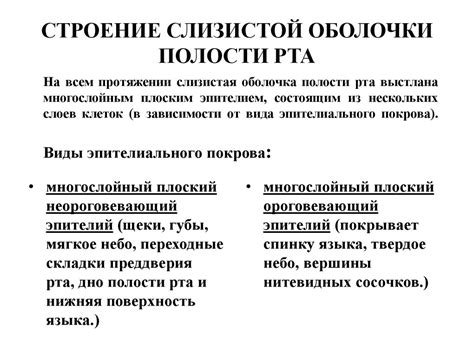 Генетические особенности и поражение слизистой оболочки