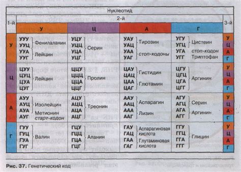 Генетические особенности певца