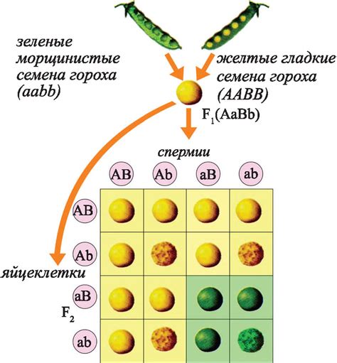 Генетические предрасположения