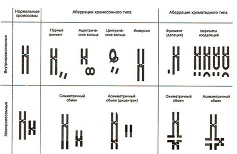 Генетические причины бесплодия у актрисы Аллы Пахмутовой