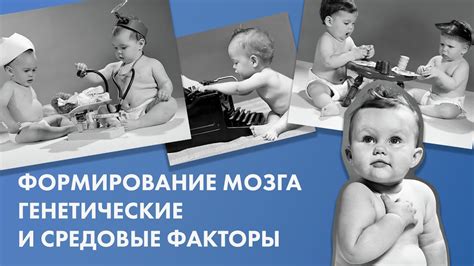 Генетические факторы влияющие на формирование пятой точки