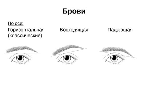 Генетические факторы и морфология лица