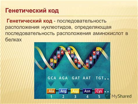 Генетический код на хромосомах