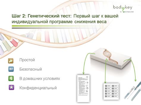 Генетический тест: ключ к вашей генетической карте