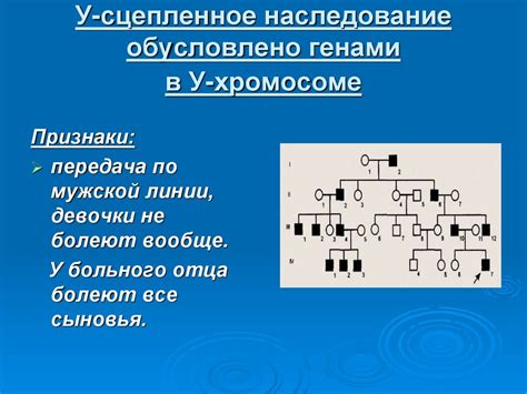 Генетическое наследование: