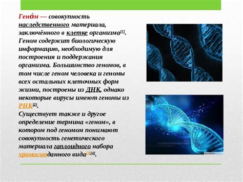 Геном: определение и состав