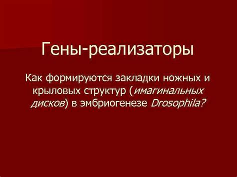 Гены и их роль в определении внешности и характера людей