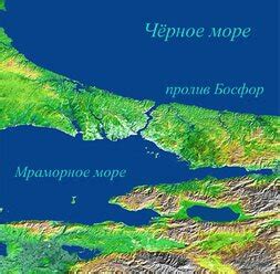 Географические особенности Черного моря и их роль в отсутствии осьминогов