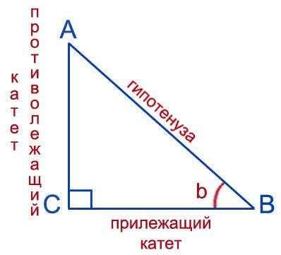 Геометрическая интерпретация косинуса