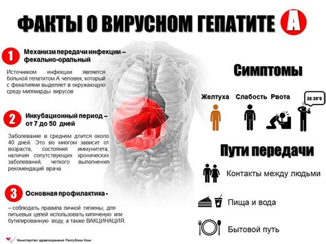 Гепатит и другие инфекционные заболевания печени