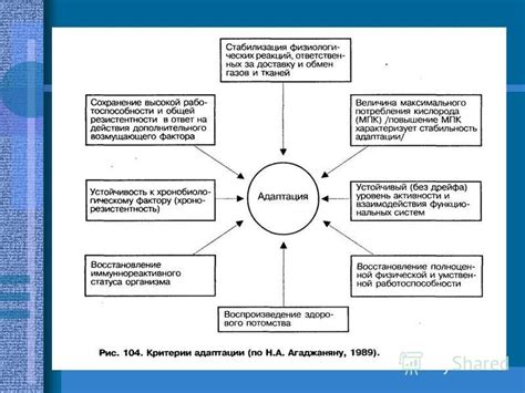 Гибкость в адаптации к различным условиям