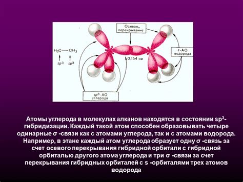 Гибридизация атомов углерода в биологически активных молекулах