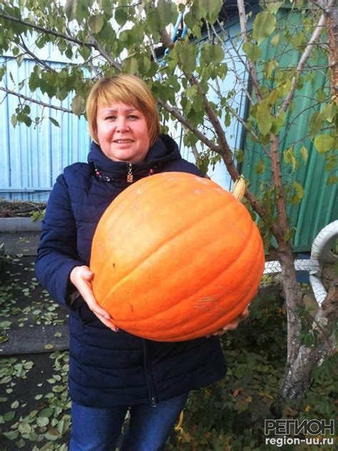 Гигантская сказочная звероящерица