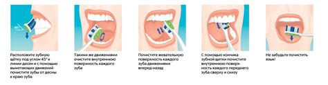 Гигиена полости рта: основные правила ухода