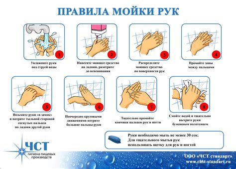 Гигиена рук: необходимое условие чистоты